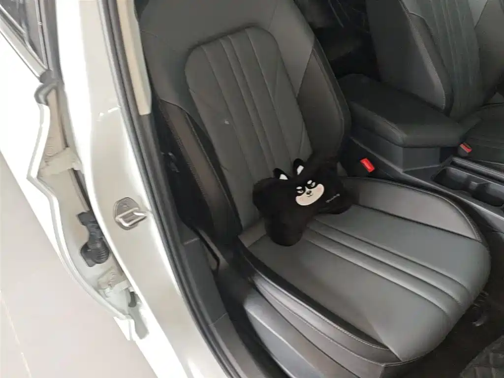 Volkswagen Sagitar 2026 Model 30 Million Special Selection 300TSI DSG Surpass Edition фото 25