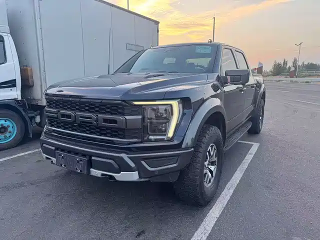 Ford F-150 Raptor 3.5T, Raptor