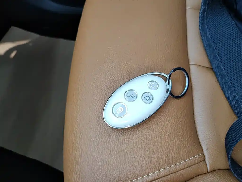 BYD Song MAX 2019 1.5T Automatic Smart Connection Rui Yi 6-seater China V фото 9