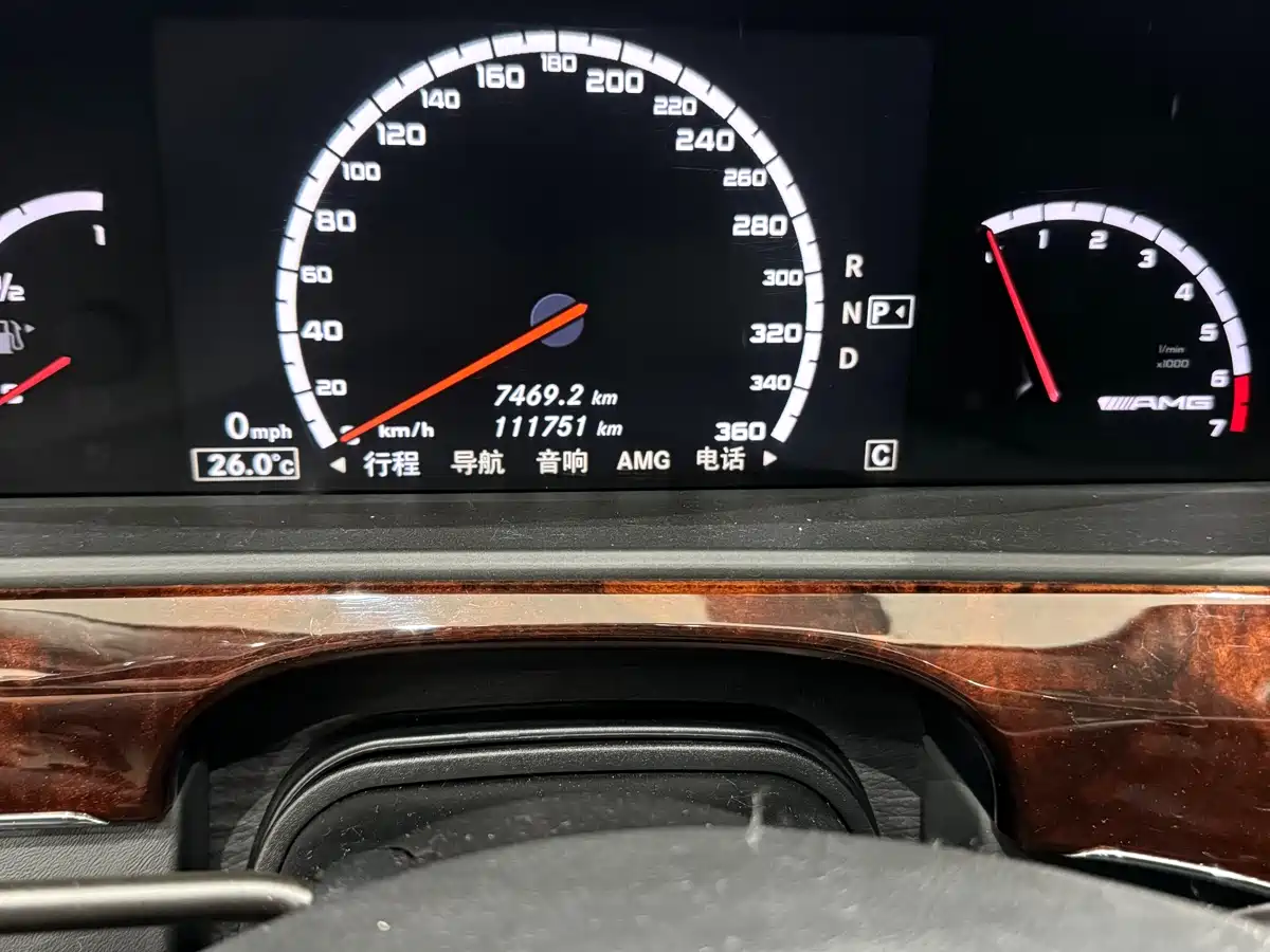 Mercedes-Benz S-Class AMG 2010 AMG S 65 фото 10
