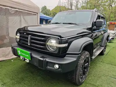 Tank 300