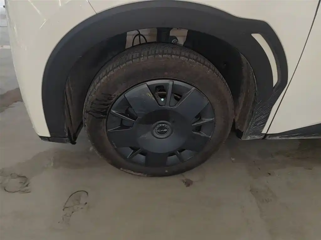 BYD Seagull 2025 Smart Drive Edition 305km Vitality Version фото 23