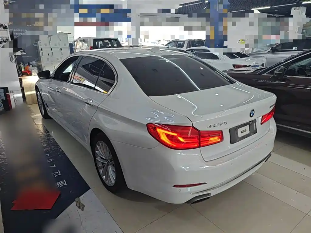 BMW 5 Series 2018 525Li Luxury Package фото 5