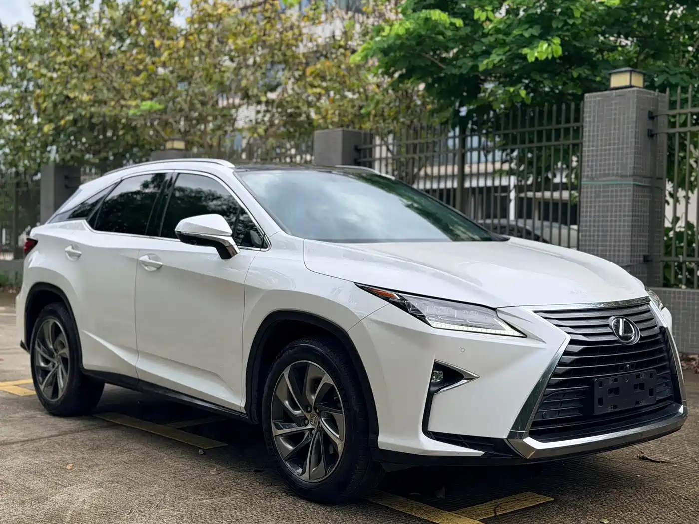 Lexus RX 2016 300 4WD Elegance Edition (China V)