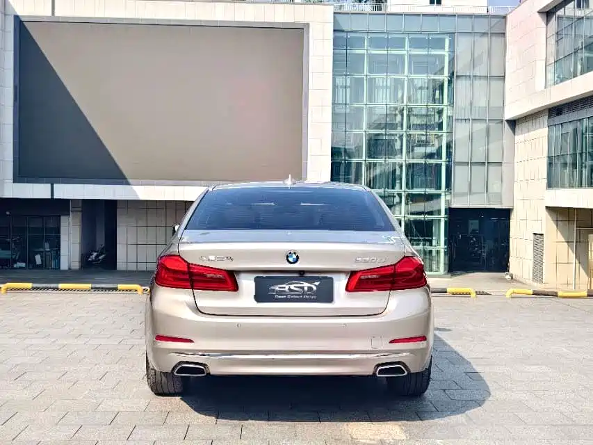 BMW 5 Series 2020 530Li Leading Luxury Package фото 4