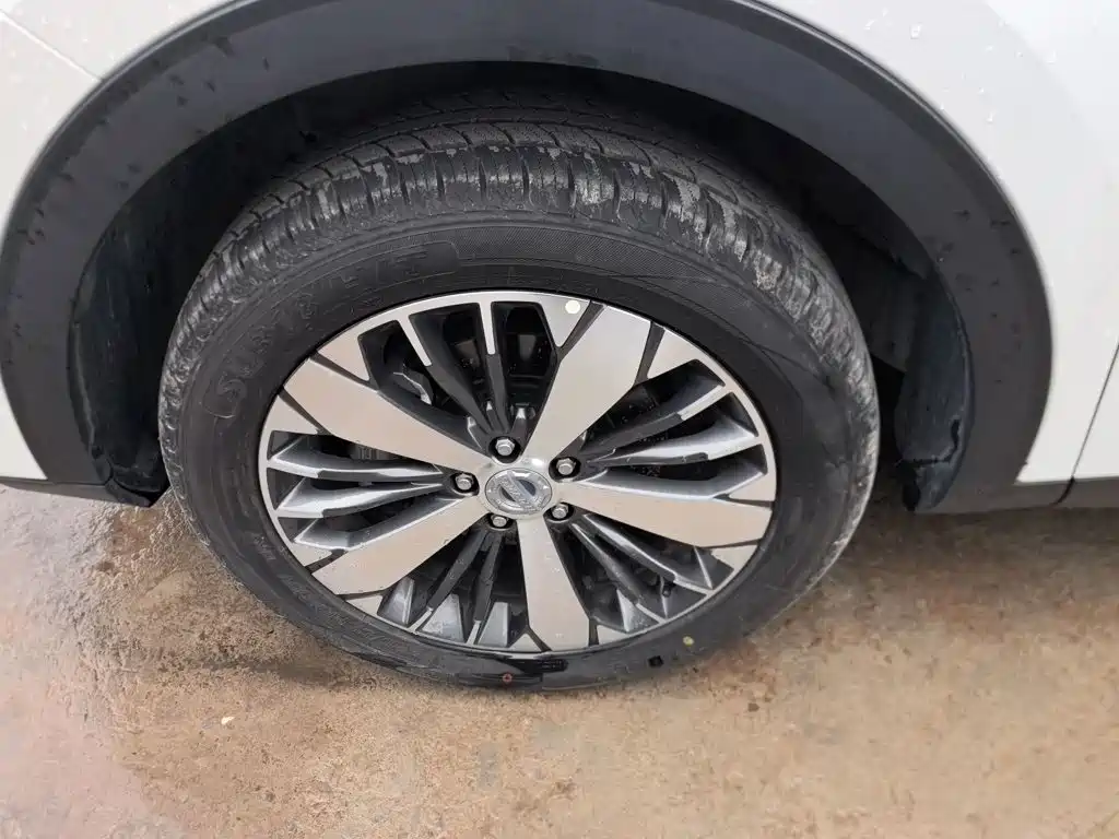Фото 23 - Haval F7x
