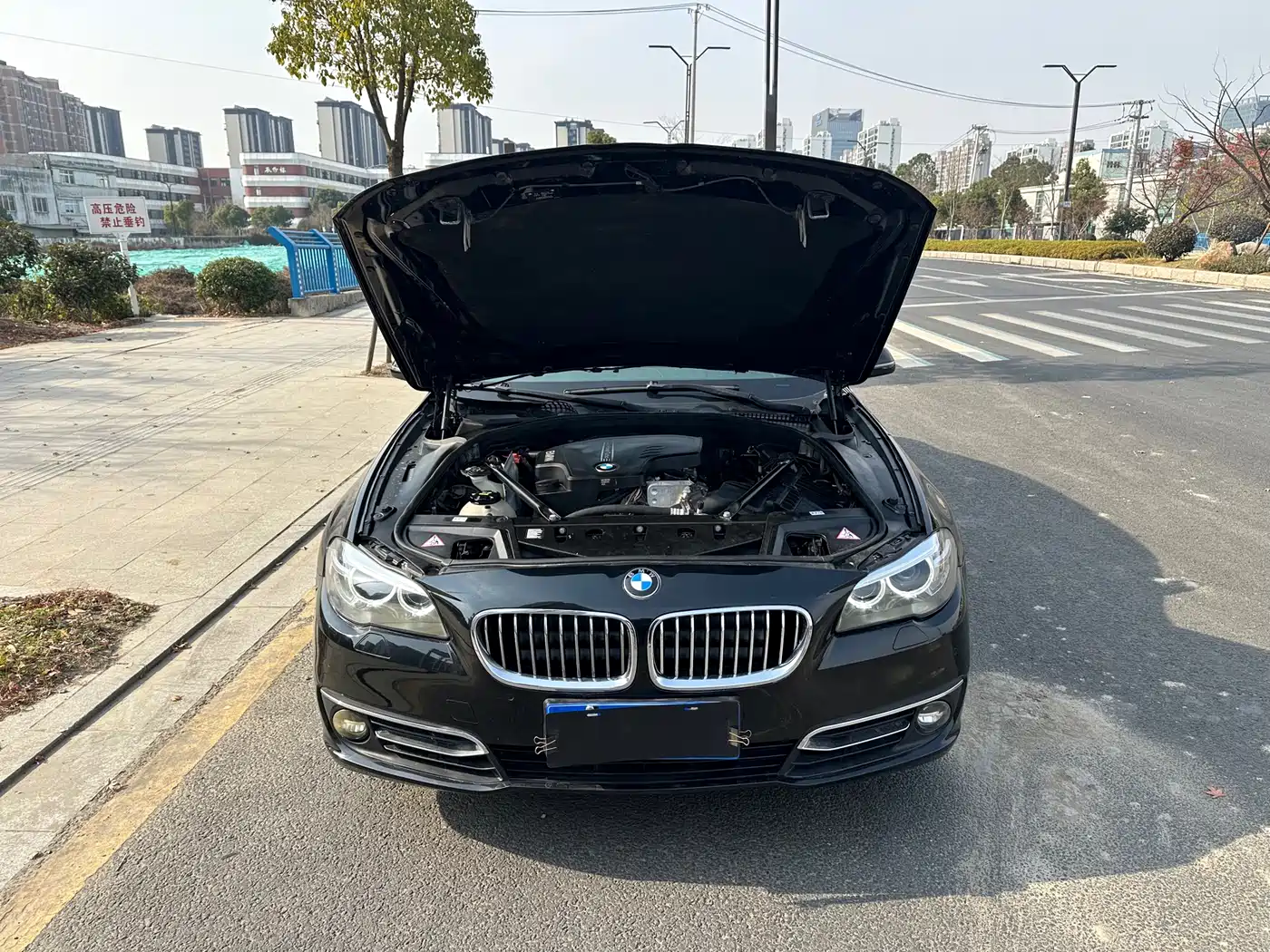 BMW 5 Series 2014 525Li Luxury Design Package фото 13