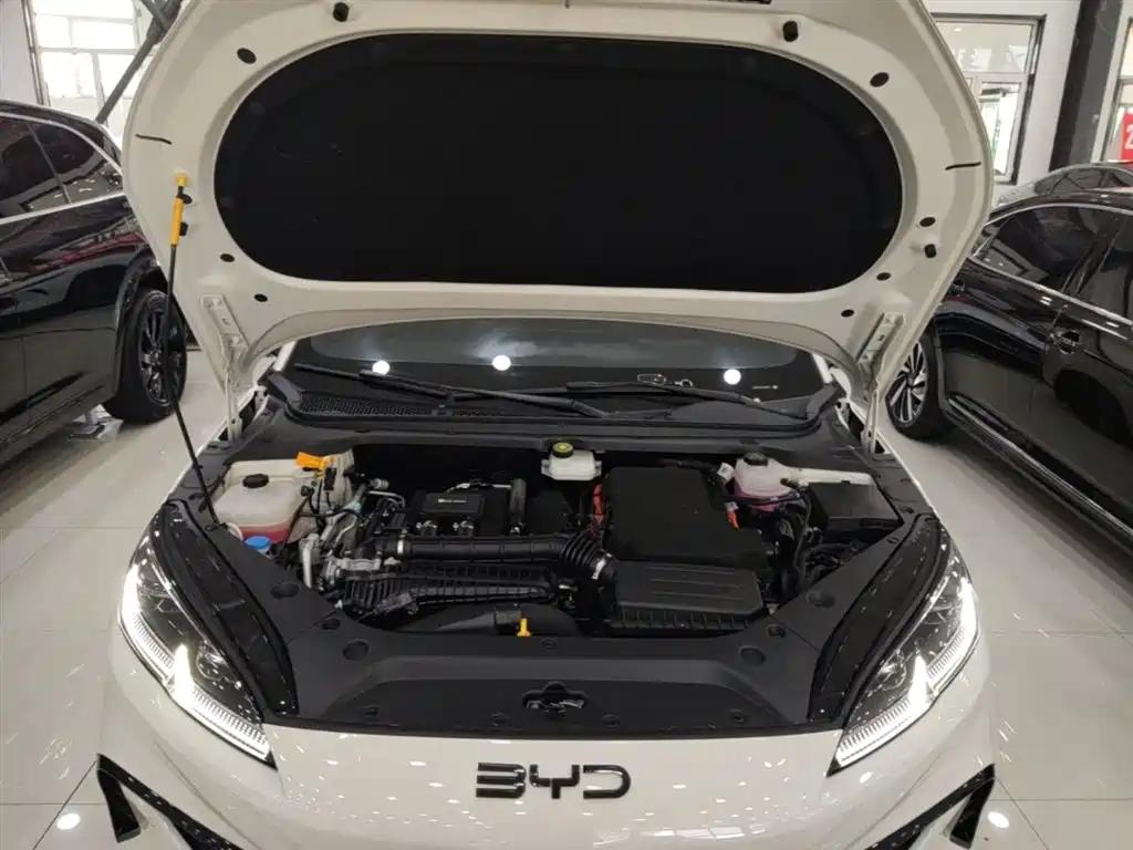 BYD Seal 06 New Energy 2025 DM-i Smart Drive 80KM Luxury фото 20