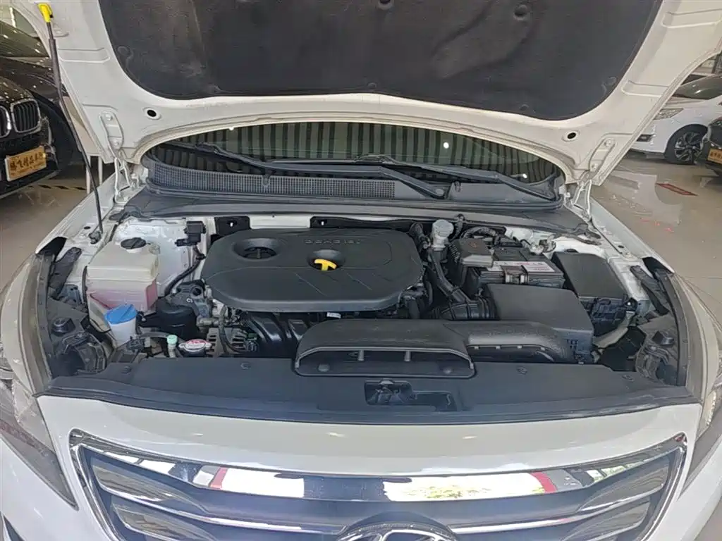 HYUNDAI NAME PICTURE