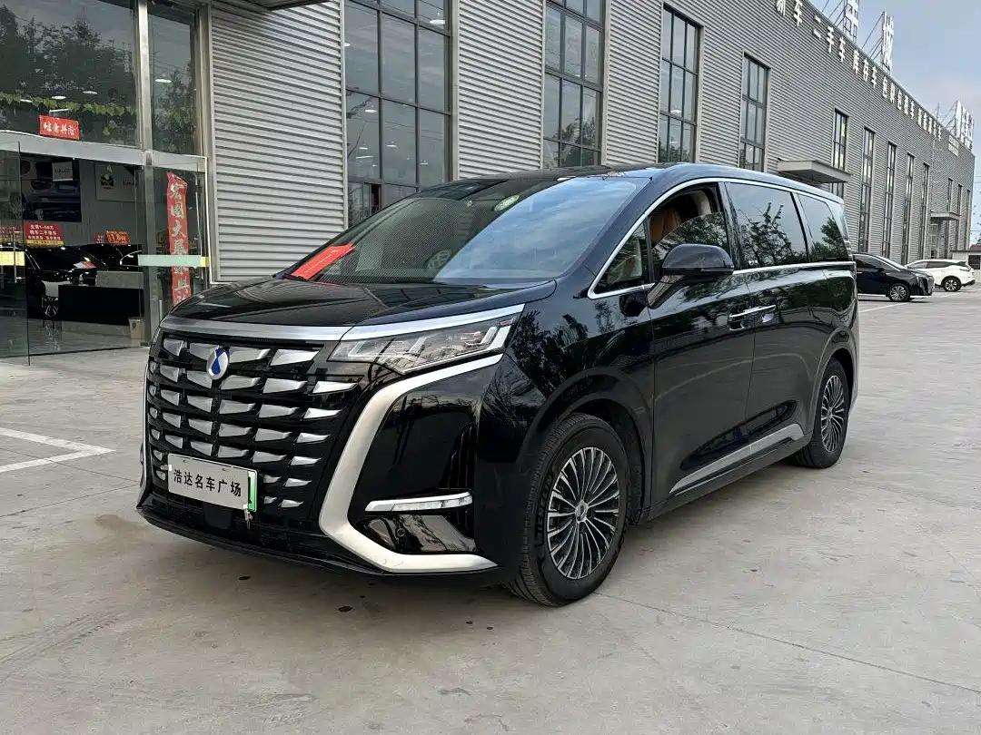 Denza D9 2024 DM-i 980 AWD Prestige фото 3