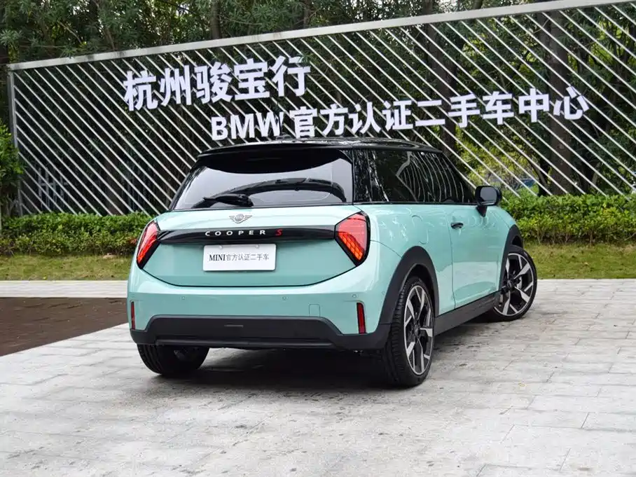 MINI MINI 2025 2025 2.0T COOPER S Artist