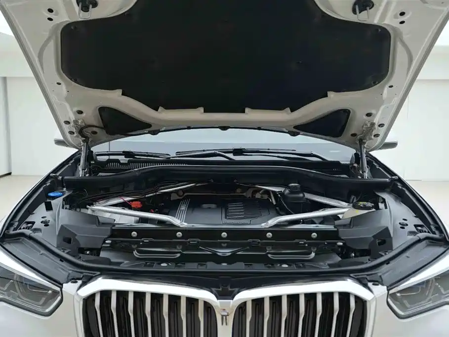 BMW X5 (Import) 2022 xDrive40i Premium M Sport Package фото 7