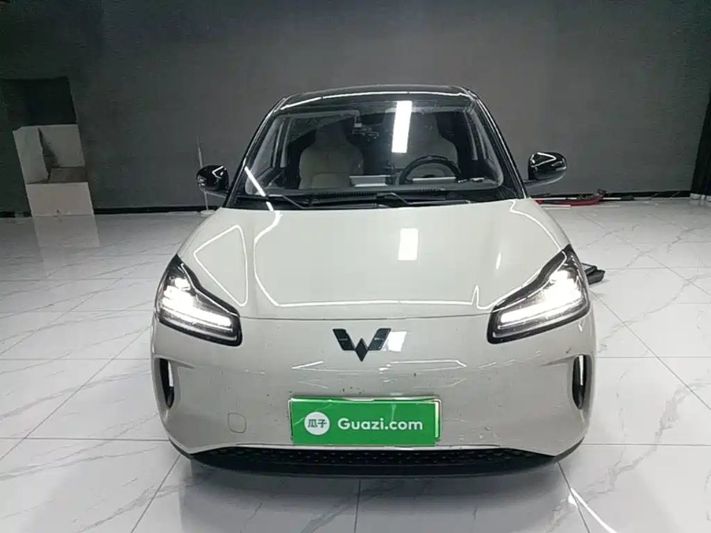 Wuling Motors Wuling Binguo PLUS 2024 2024 Model 330km 5-Seater