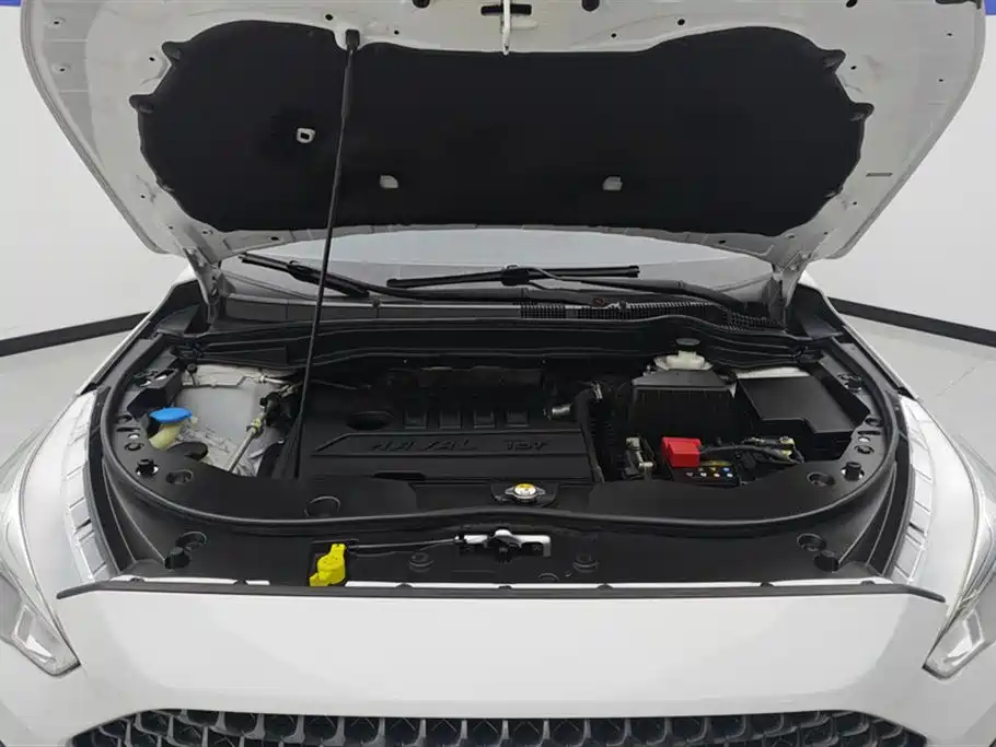 Haval M6 2019 1.5T DCT 2WD Value Edition (China VI) фото 10