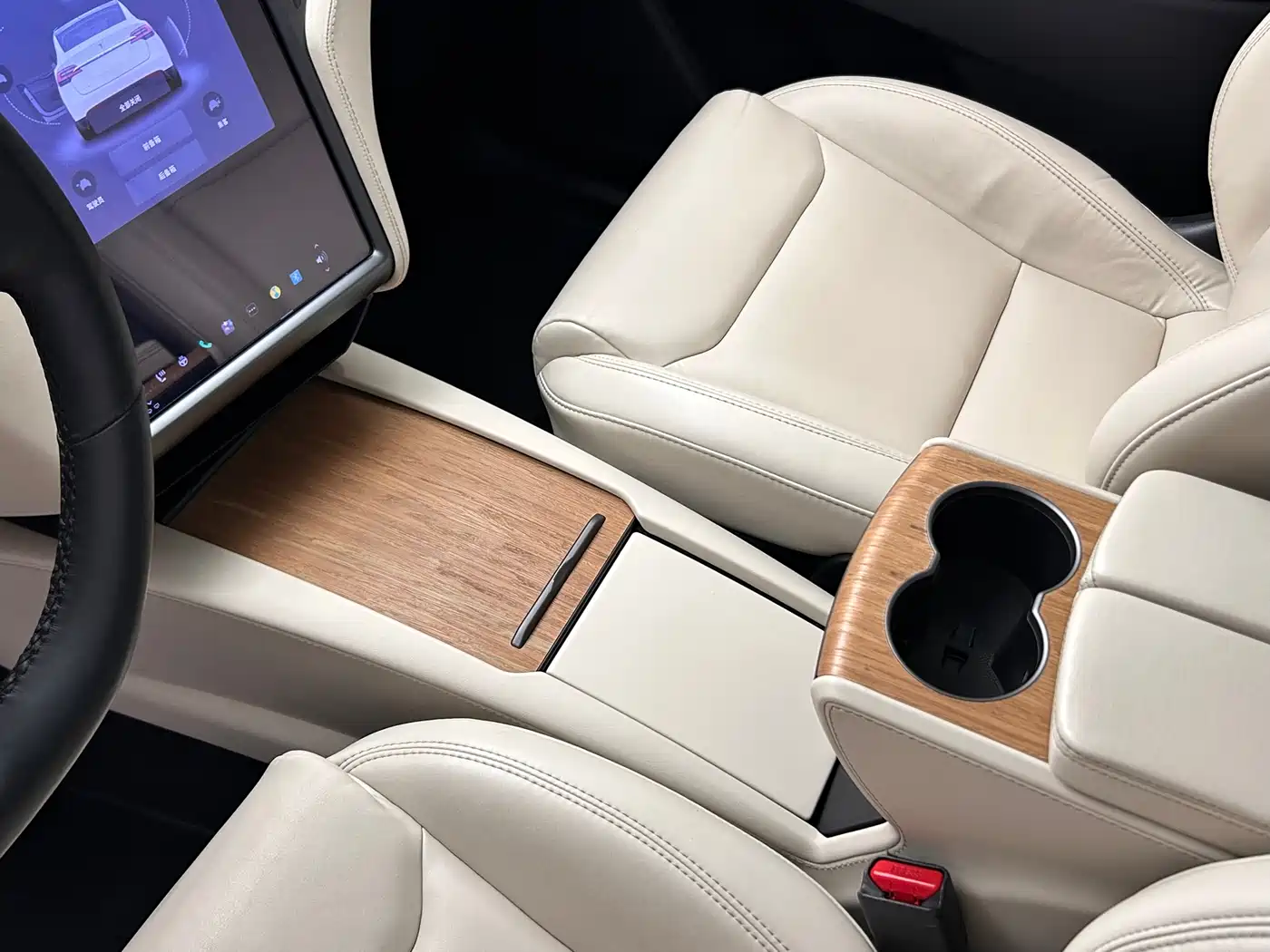 Tesla Model X 2020 Long Range Upgrade фото 22