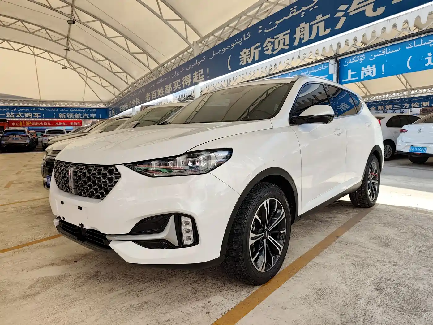 WEI PAI WEI BRAND VV6