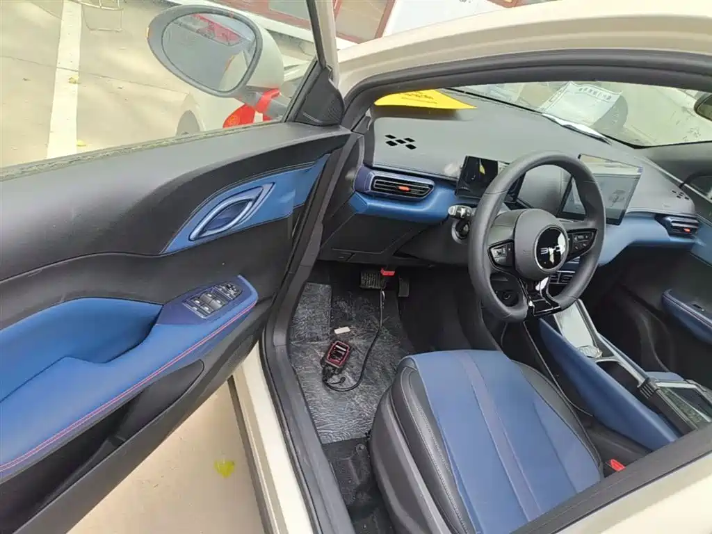 BYD Seagull 2025 Smart Drive Edition 305km Vitality Version фото 16