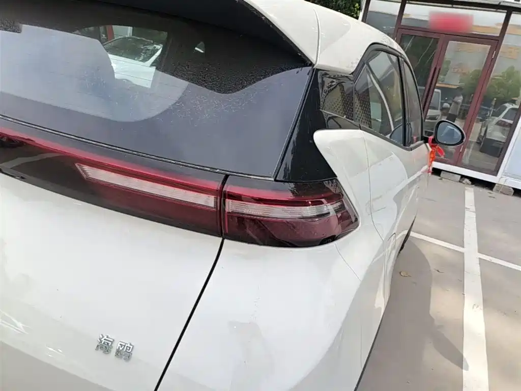 BYD Seagull 2025 Smart Drive Edition 305km Vitality Version фото 8