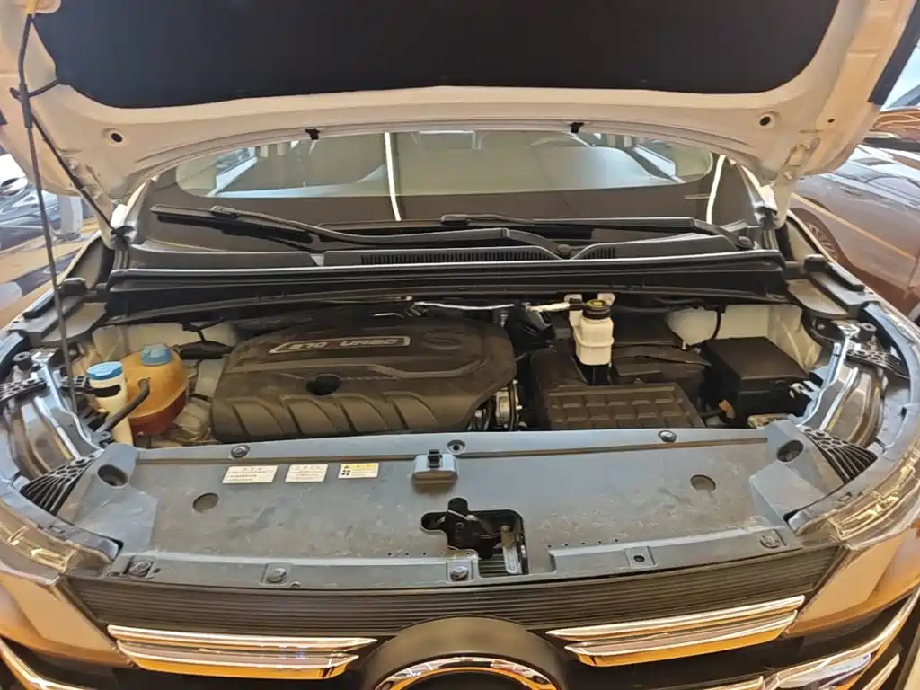 Фото 16 - GAC Trumpchi Trumpchi M6