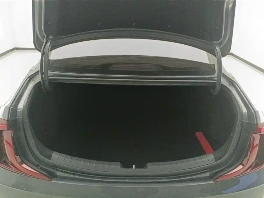 HYUNDAI NAME PICTURE