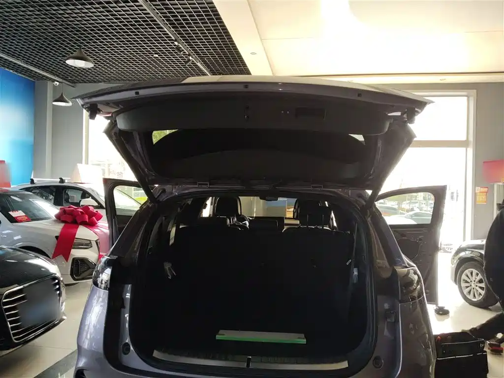 Denza X 2020 Model PHEV Flagship Edition фото 19