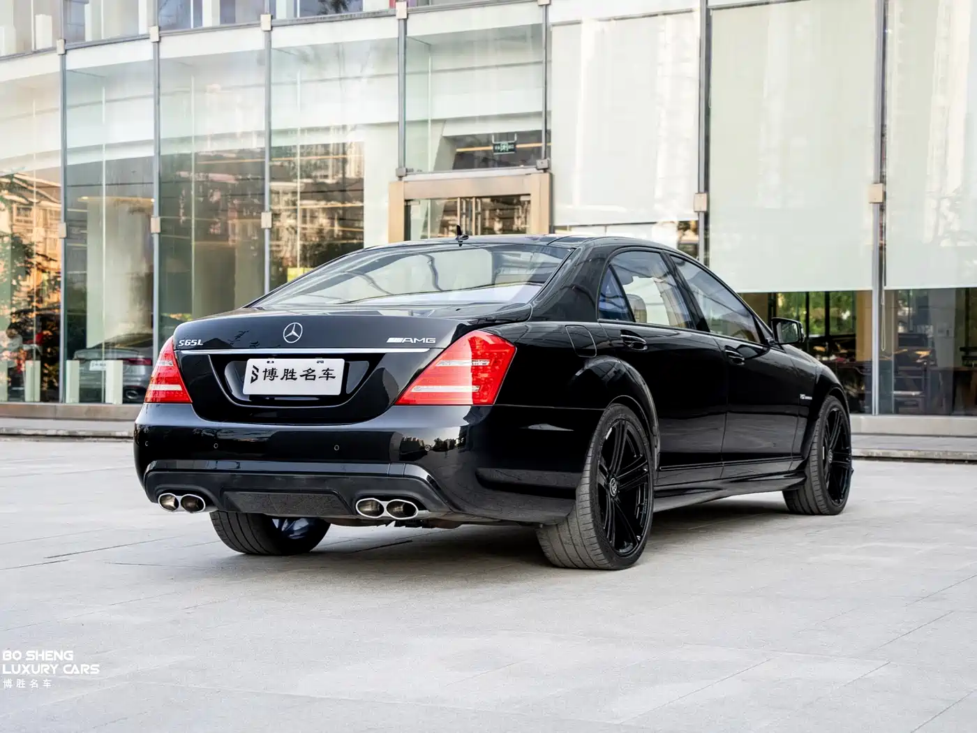 Mercedes-Benz S-Class AMG 2010 AMG S 65 фото 5