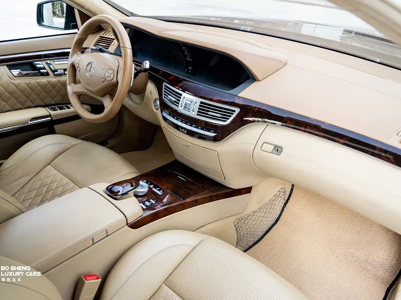 Mercedes-Benz S-Class AMG 2010 AMG S 65 фото 14