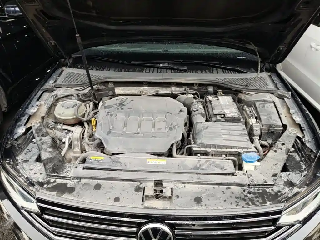 Volkswagen Magotan 2020 330TSI DSG Leading фото 20