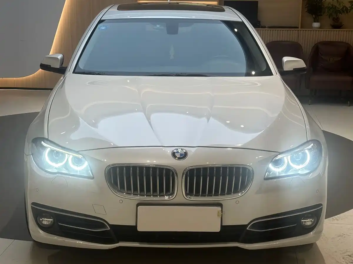 BMW 5 Series 2014 525Li Fashion Design Package фото 2
