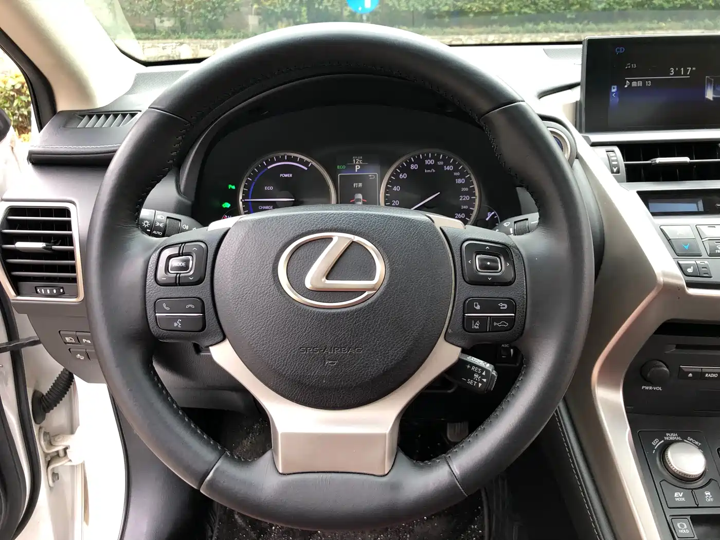 Lexus NX 2015 300h AWD F SPORT фото 9