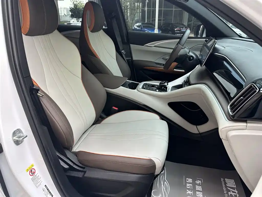 BYD Song Pro New Energy 2022 DM-i 51km Luxury фото 7