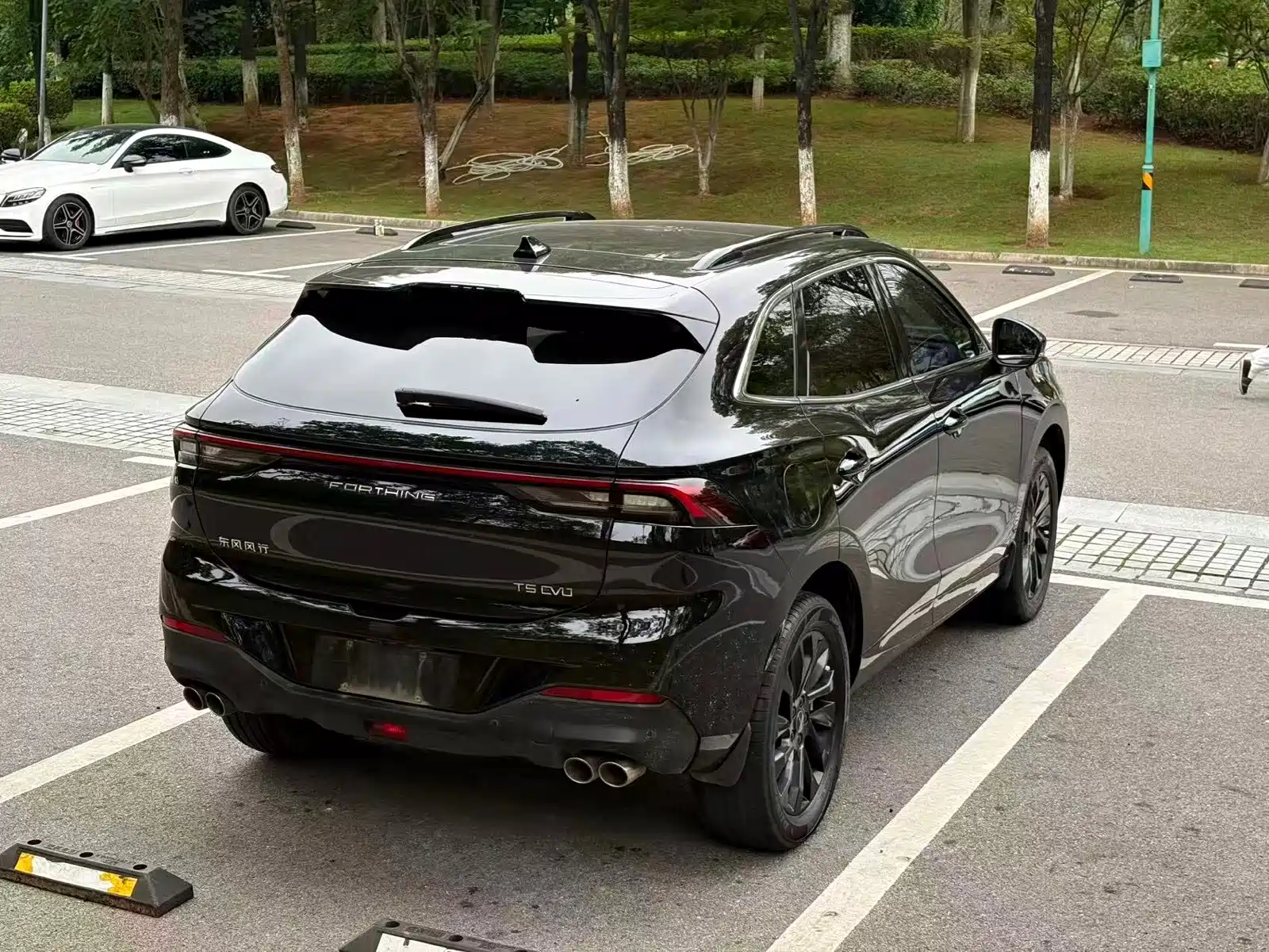 Фото 15 - Dongfeng Fengxing Fengxing T5 EVO