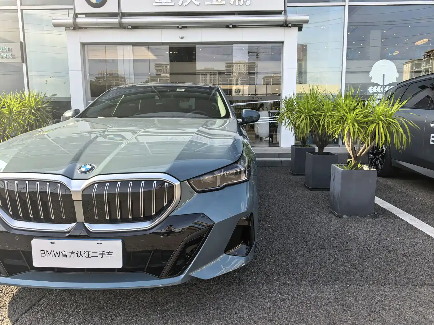 BMW 5 Series (Import) 2025 2024 Model 525i M Sport Package