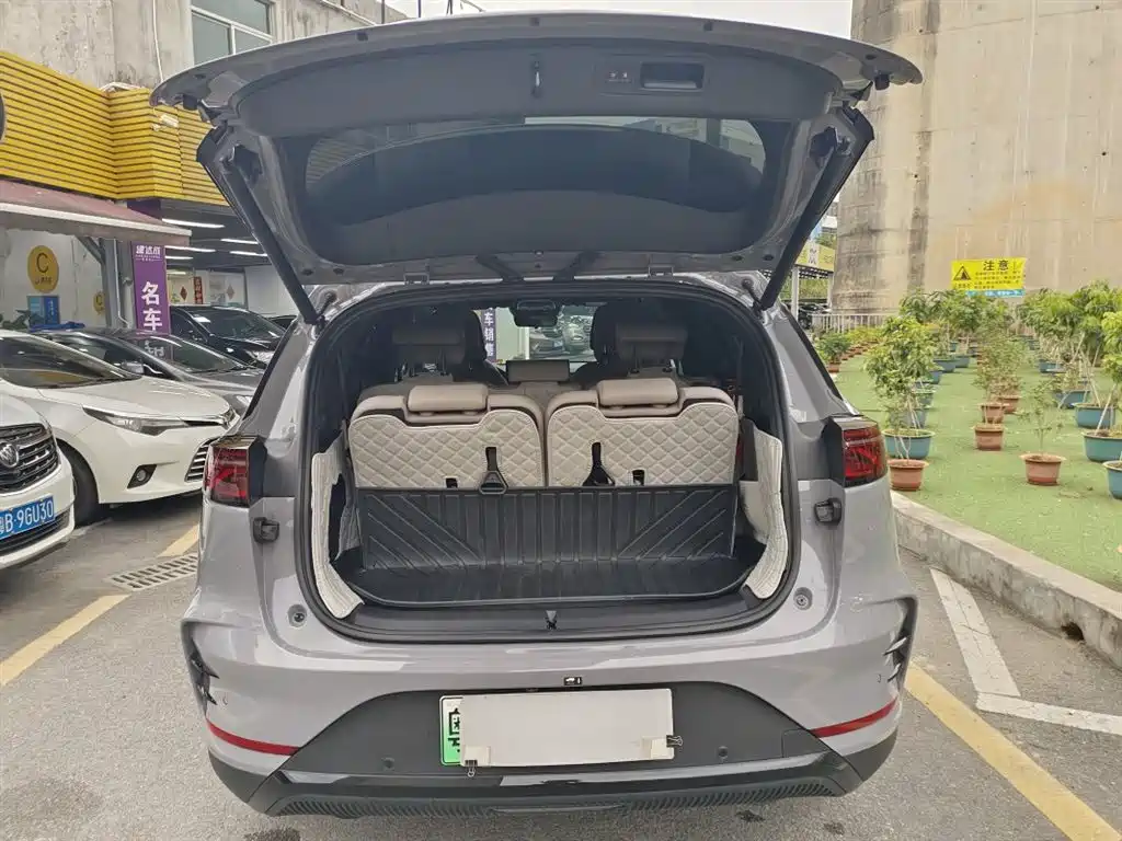BYD Tang New Energy 2025 DM-i 115KM Flagship фото 5