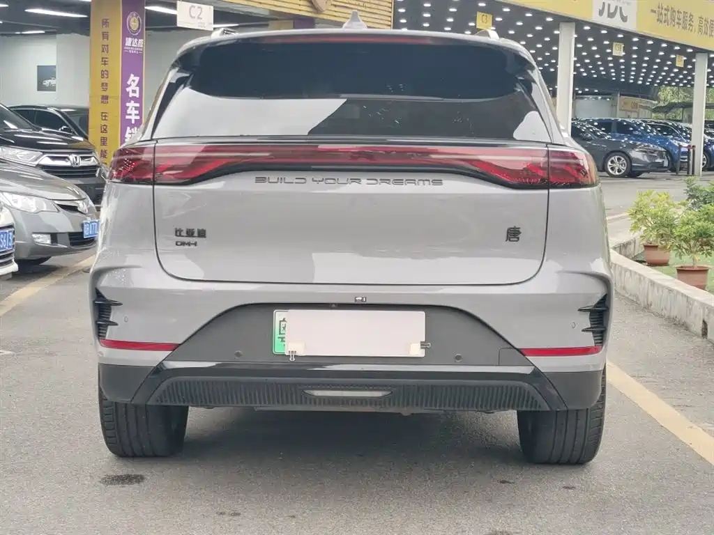 BYD Tang New Energy 2025 DM-i 115KM Flagship фото 10
