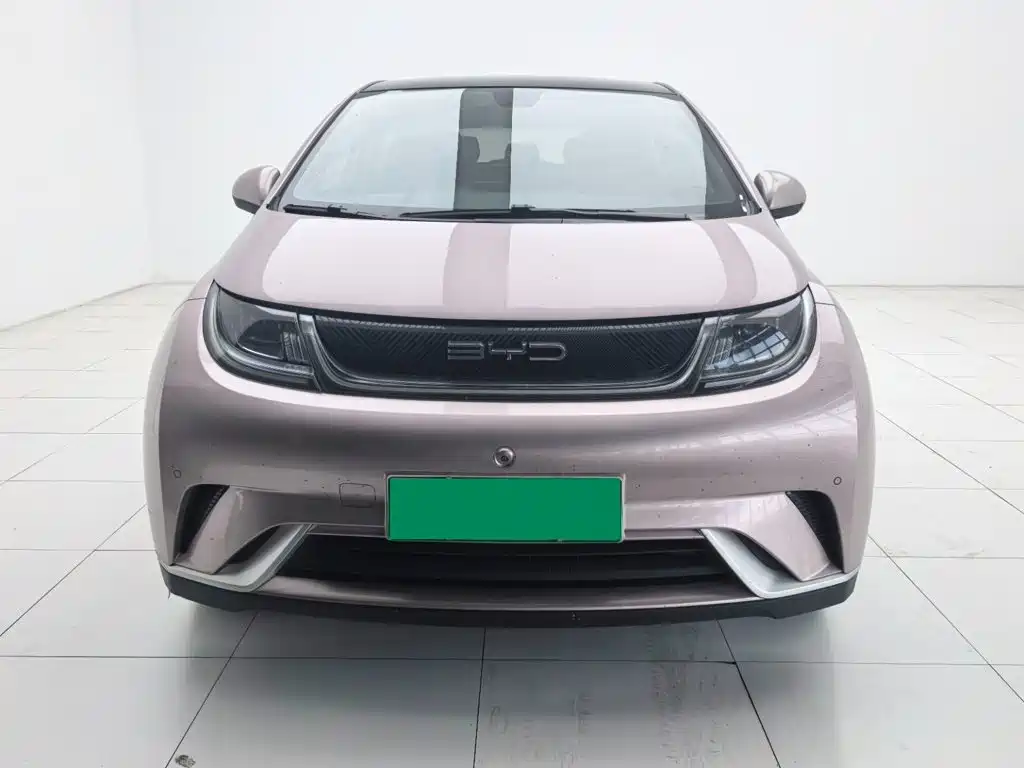 BYD Dolphin 2023 420km Freedom Edition