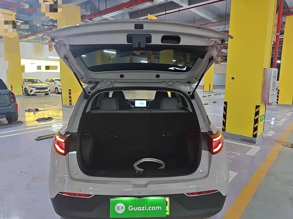 Geely Galaxy Starry Wish 2026 2026 Edition 410km Freedom Version