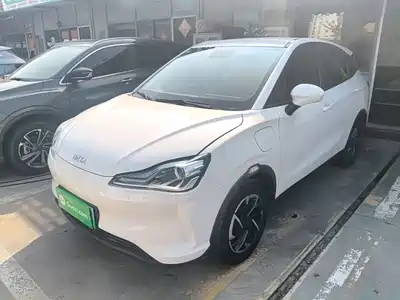 Neta V