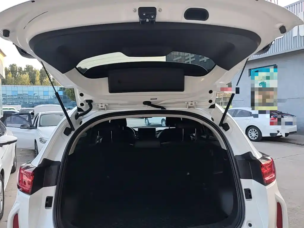 Haval Chitu 2022 2022 Power Edition 1.5T Purple Copper Rabbit