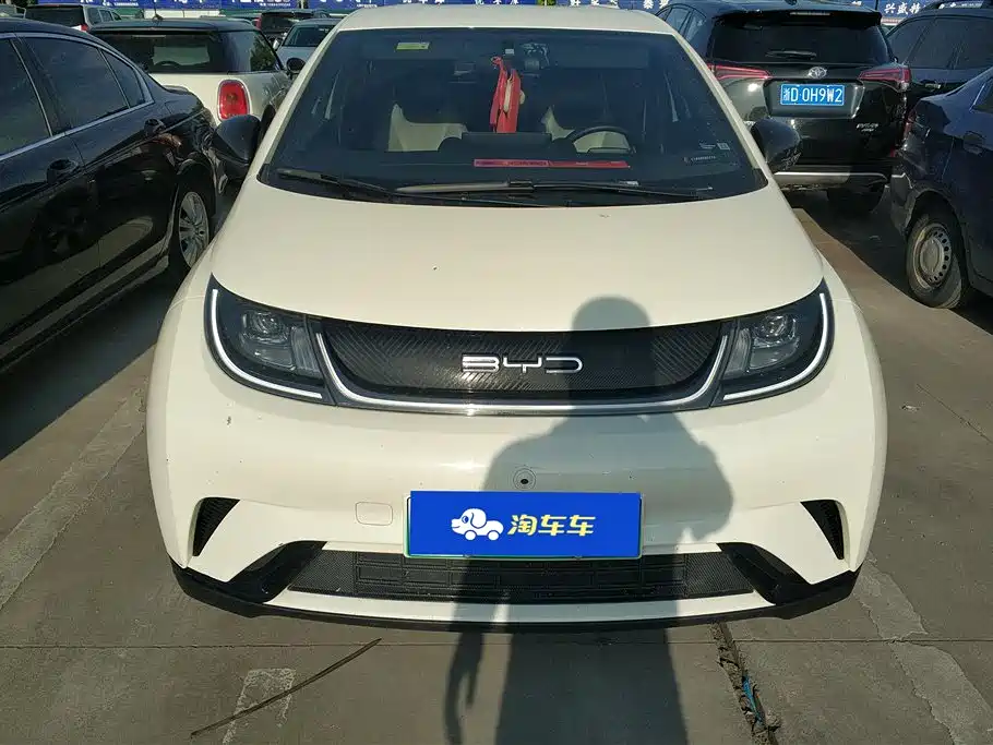 BYD Dolphin 2024 Glory Edition 420km Freedom Edition фото 2
