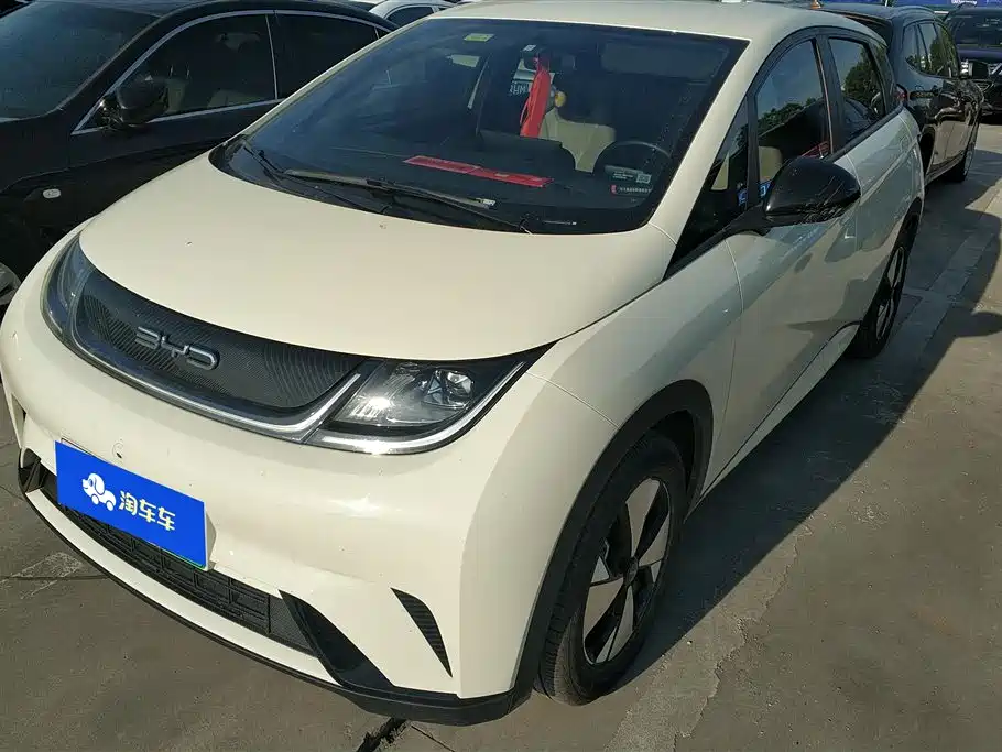 BYD Dolphin 2024 Glory Edition 420km Freedom Edition