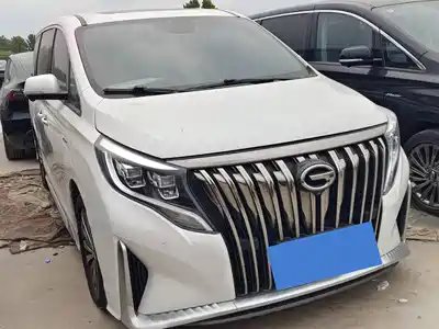 Trumpchi M8