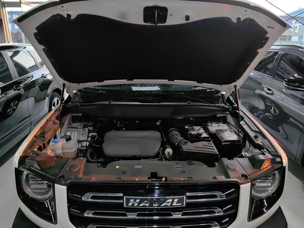 Haval Big Dog 2022 1.5T DCT FWD Labrador Edition фото 20