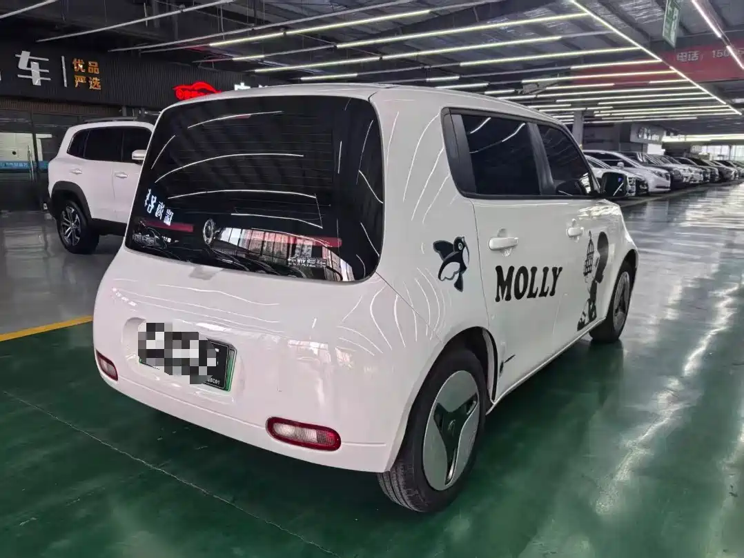 Ora White Cat 2021 2020 401km Long Range Model