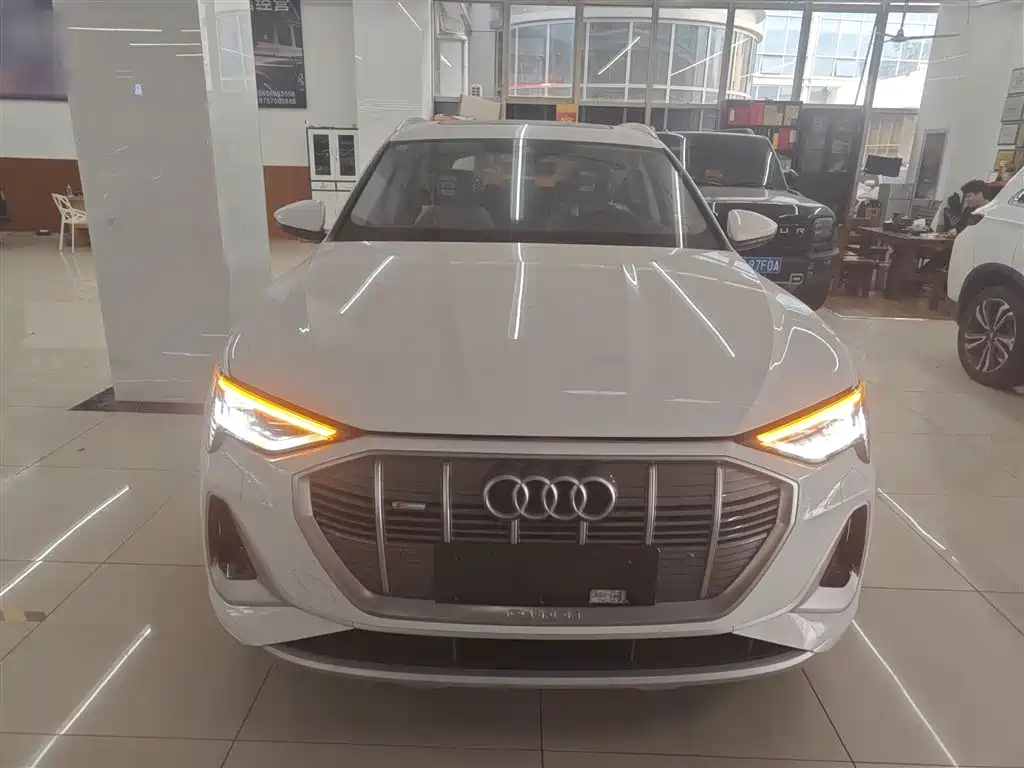 Audi e-tron 2021 50 quattro Luxury фото 3