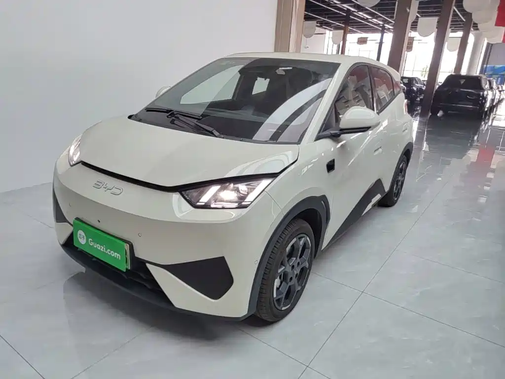 BYD Seagull 2025 Smart Drive Edition 305km Freedom Version