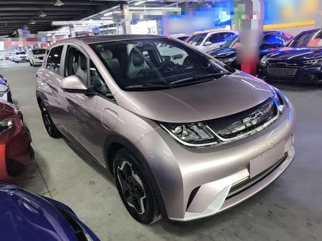 BYD Dolphin 2022 2021 405km Freedom Edition
