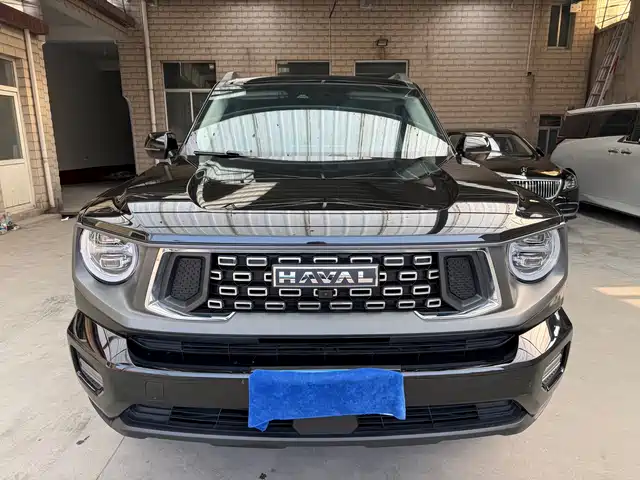 HAVAL BIG DOG PLUS 2024