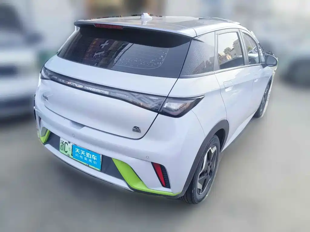 BYD Dolphin 2021 2021 405km Freedom Edition