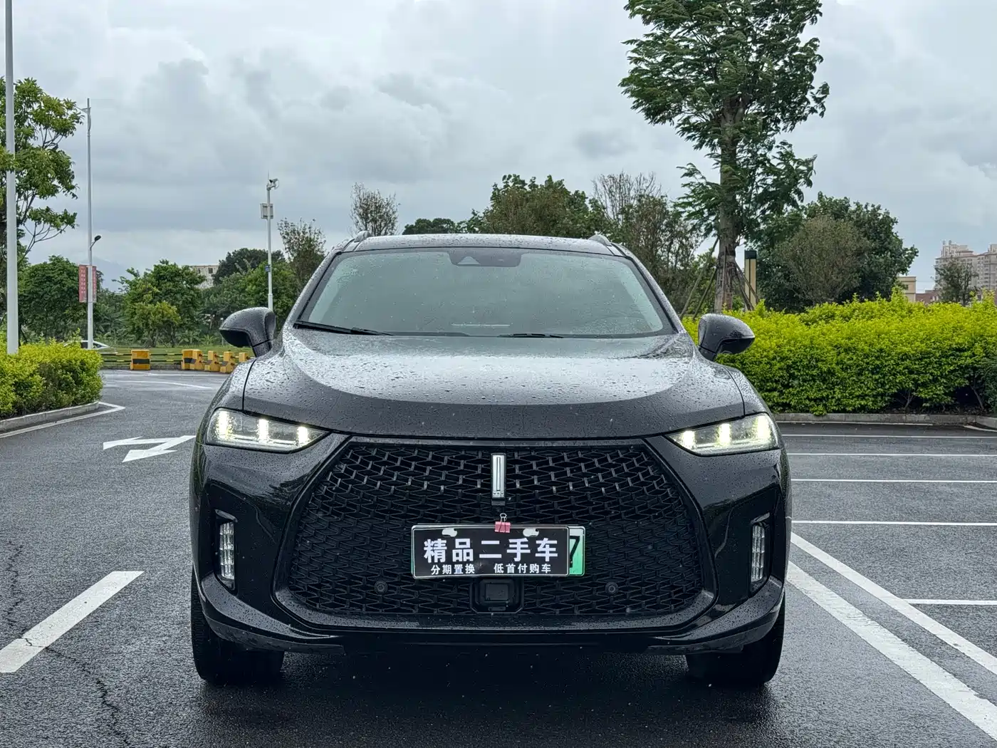 WEY P8 2018 2018 2.0T Flagship Model